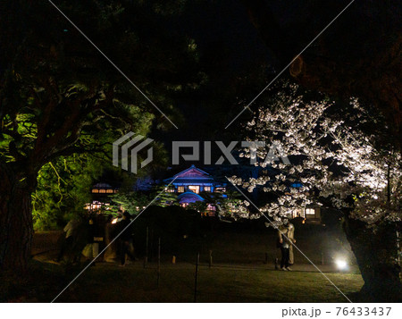 栗林公園春のライトアップ 栗林公園春のライトアップ 76433437