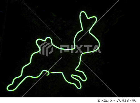 Green neon tube bending into a rabbit shape for decorating the place on black background. 76433746