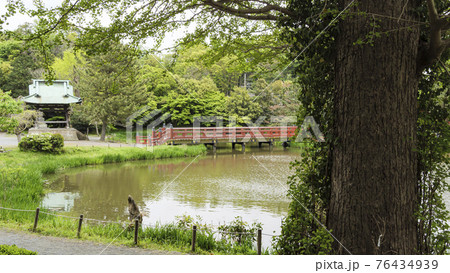 神奈川県横浜市金沢区の名刹・古刹の称名寺の春 神奈川県横浜市金沢区の名刹・古刹の称名寺の春 76434939