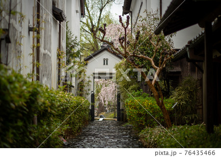 滋賀県近江八幡市のかわらミュージアムと桜 76435466