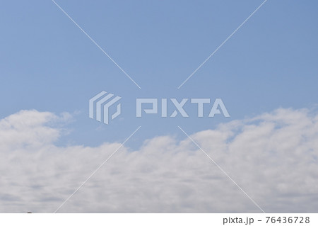 春の青空に浮かぶ綿雲の群 春の青空に浮かぶ綿雲の群 76436728