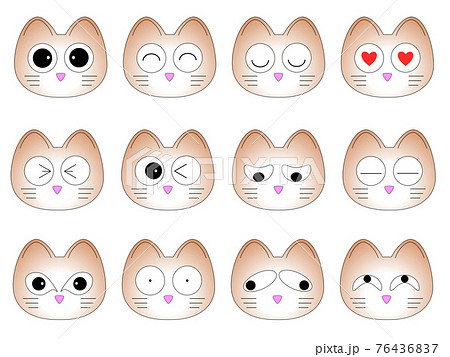 猫の色々な表情 猫の色々な表情 76436837