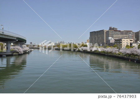 【大阪府】桜ノ宮・春の風景 76437903