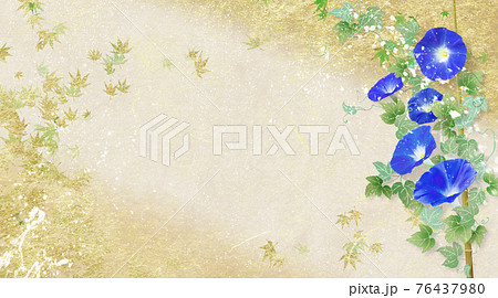 藍色の朝顔が咲く金色和紙の背景の夏のイメージ 藍色の朝顔が咲く金色和紙の背景の夏のイメージ 76437980