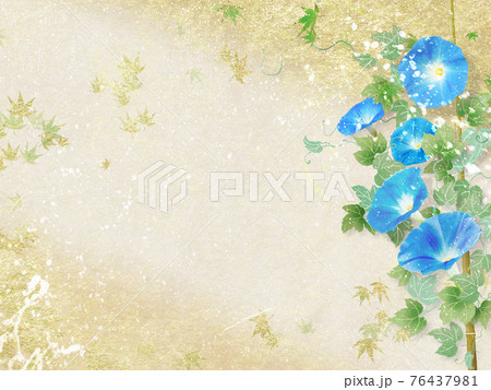青い朝顔が咲く金色和紙の背景の夏のイメージ 青い朝顔が咲く金色和紙の背景の夏のイメージ 76437981