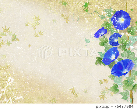 藍色の朝顔が咲く金色和紙の背景の夏のイメージのイラスト素材