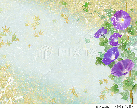 紫の朝顔が咲く金色和紙の背景の夏のイメージのイラスト素材