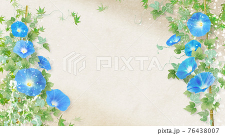 青い朝顔が咲く灰色和紙の背景の夏のイメージ 青い朝顔が咲く灰色和紙の背景の夏のイメージ 76438007