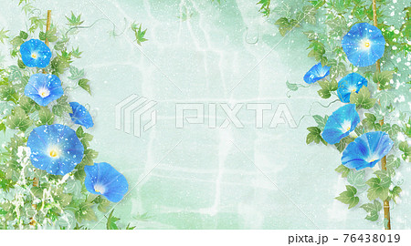 青い朝顔が咲く水の背景の夏のイメージ 76438019
