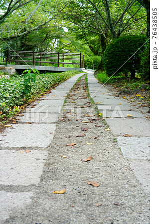 水路沿いの遊歩道 76438505