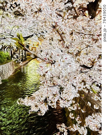 高瀬川の春 76439050