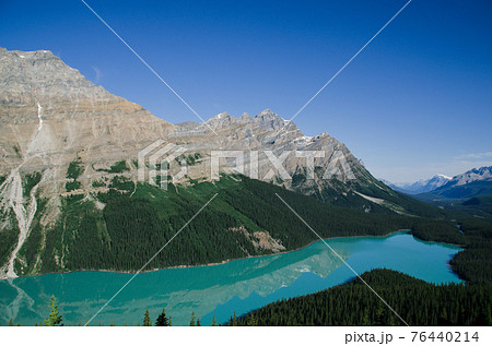朝のペイトーレイク(peyto lake) 夏のカナディアンロッキー 朝のペイトーレイク(peyto lake) 夏のカナディアンロッキー 76440214