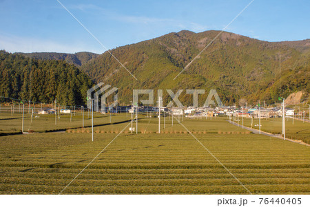 大井川鉄道からの車窓風景 茶畑 大井川鉄道からの車窓風景 茶畑 76440405