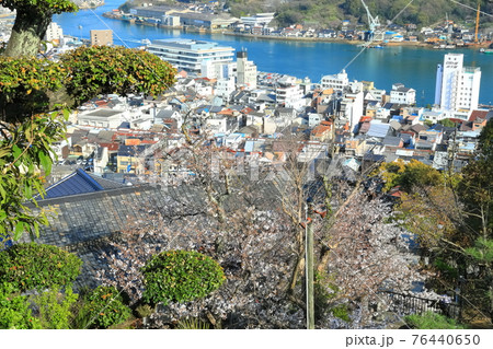 【広島県】晴天下で桜が満開の千光寺公園 76440650