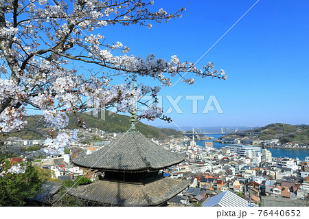【広島県】桜と天寧寺(三重塔)と尾道の町並み 【広島県】桜と天寧寺(三重塔)と尾道の町並み 76440652