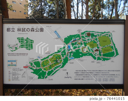林試の森公園その53 76441015