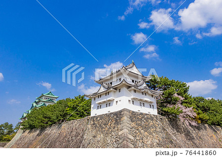 名古屋城、金鯱のない天守閣と満開の桜〈愛知県名古屋市〉 名古屋城、金鯱のない天守閣と満開の桜〈愛知県名古屋市〉 76441860
