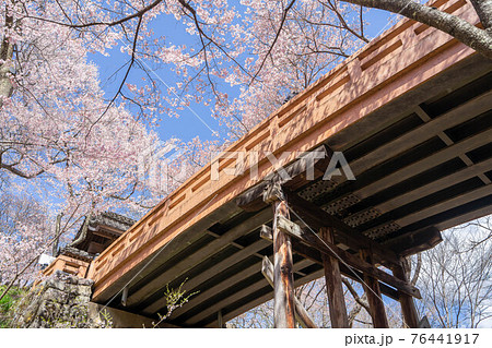 高遠の桜 76441917