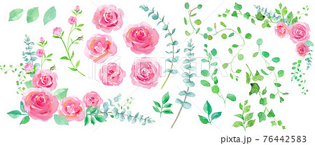 ピンクの薔薇とユーカリなどのグリーンリーフの装飾フレーム エレメント素材 水彩イラスト のイラスト素材