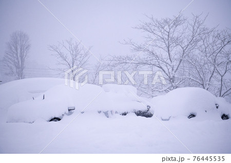 雪に埋もれる車 雪に埋もれる車 76445535