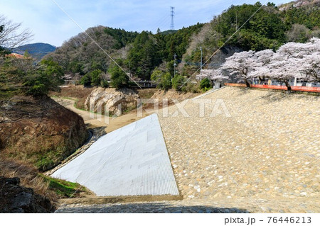 埼玉県毛呂山町　鎌北湖耐震化工事と桜 76446213