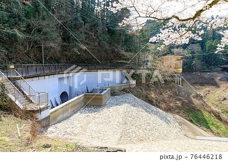 埼玉県毛呂山町　鎌北湖耐震化工事　放流口と桜 76446218