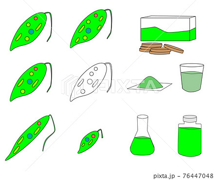 ミドリムシ_euglena 76447048