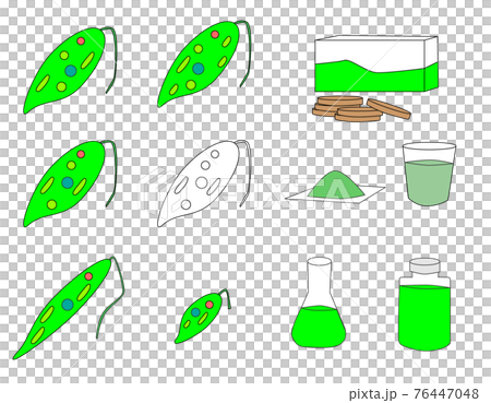 ミドリムシ_euglena 76447048