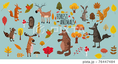Set of cute forest animals bear, raccoon, squirrel, hare, fox, wolf, hedgehog, moose, deer, autumn leaves trees, trend modern style, vector, illustration, isolated 76447484