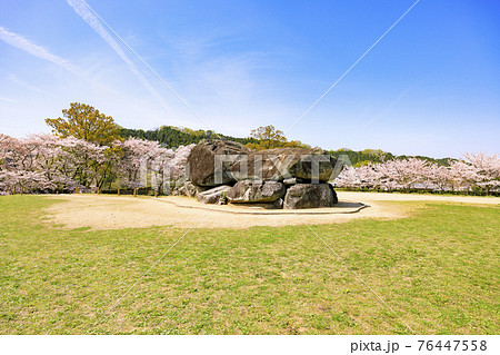 桜満開の石舞台古墳 76447558