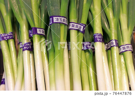 野菜売り場　長ネギ 76447876