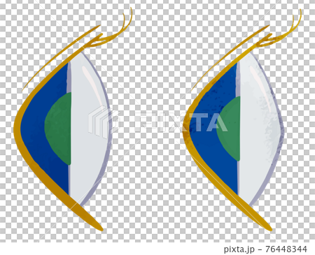 從側面看的正常眼和圓錐角膜眼/藍眼的比較 76448344