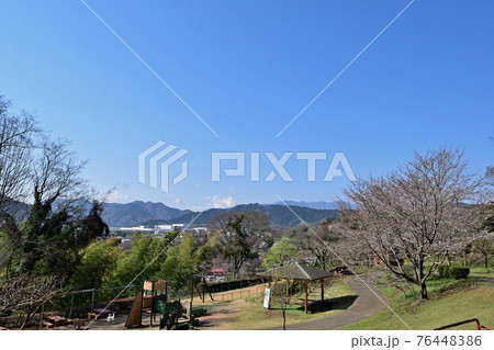 【神奈川県】春の津久井湖城山公園  根小屋地区 76448386