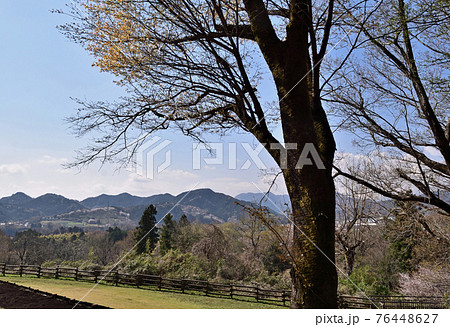 【神奈川県】津久井湖城山公園  雨乞山方面 76448627