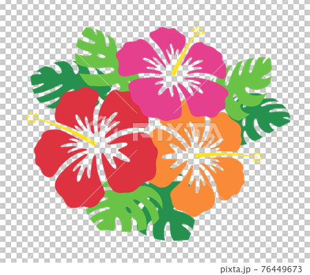 ハイビスカスの花とモンステラのイラスト 76449673