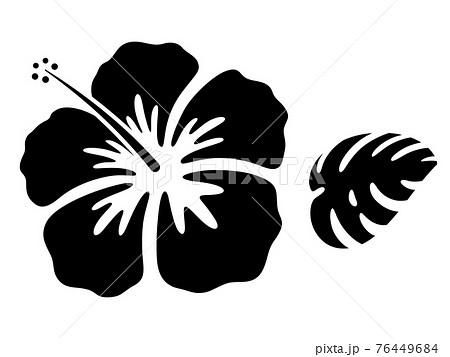 Silhouette Of Hibiscus Flower And Stock Illustration
