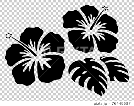 ハイビスカスの花とモンステラのシルエット イラスト素材のイラスト素材