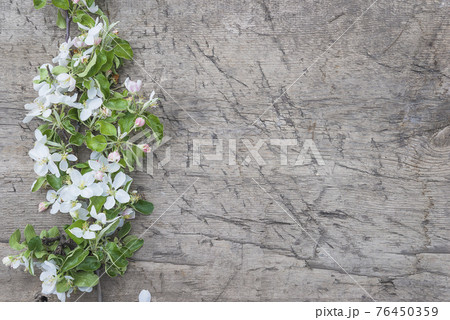 Happy Mother's day greeting card. Twig with apple blossom on old wooden background; space for text Happy Mother's day greeting card. Twig with apple blossom on old wooden background; space for text 76450359
