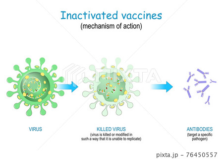 Inactivated vaccines. mechanism of action 76450557