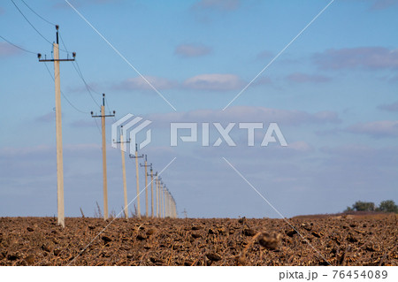 Crop in the field on a sunny day. Autumn harvest. Crop in the field on a sunny day. Autumn harvest. 76454089