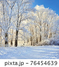 Beautiful winter park, trees in hoarfrost, sunset 76454639
