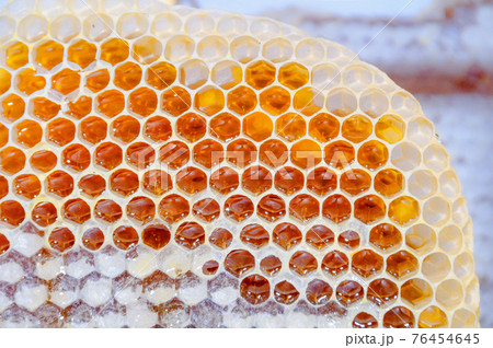 Fresh honey in honeycombs 76454645