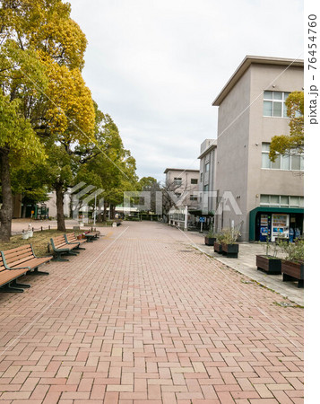 香川大学幸町キャンパス 香川大学幸町キャンパス 76454760
