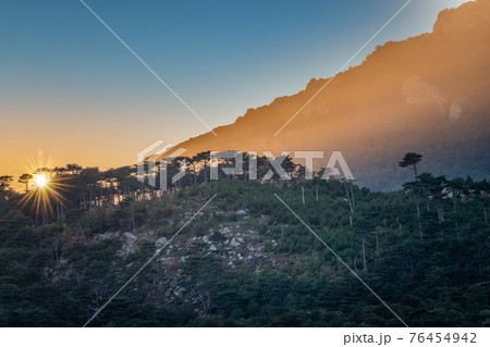 Sunset in the mountains among the green trees 76454942