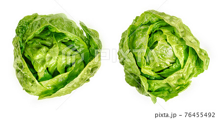 Two Romaine lettuce hearts, from above. Cos lettuce, tall lettuce heads of sturdy dark green leaves with firm ribs down their centers. Lactuca sativa longifolia. Isolated over white, macro food photo. 76455492