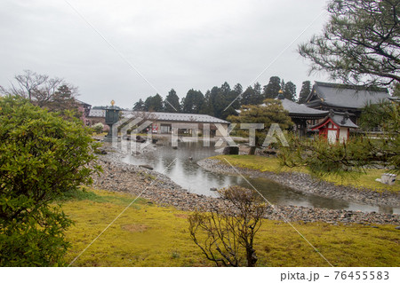 津幡町の桜 76455583