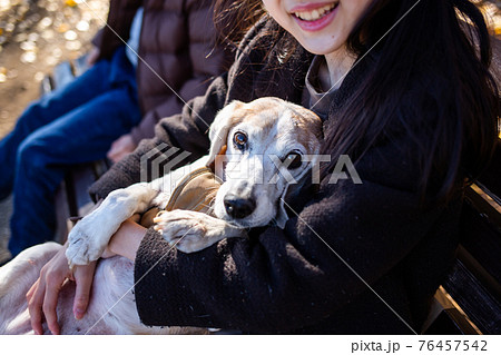 飼い主に抱っこされるビーグル犬 飼い主に抱っこされるビーグル犬 76457542