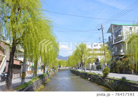 京都・白川 76457593