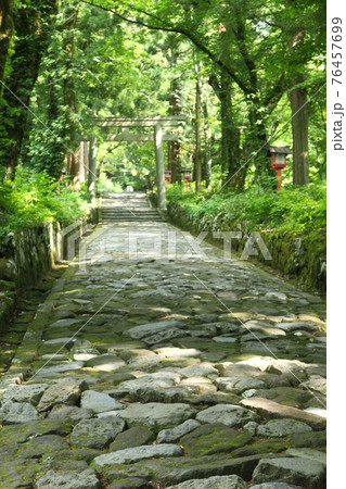 大山　石畳の参道 76457699