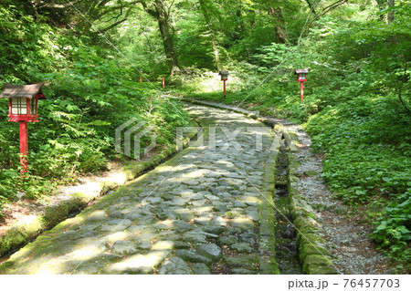 大山 石畳の参道 大山 石畳の参道 76457703